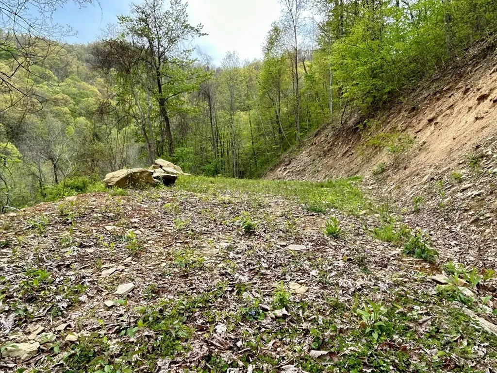 Picture 5