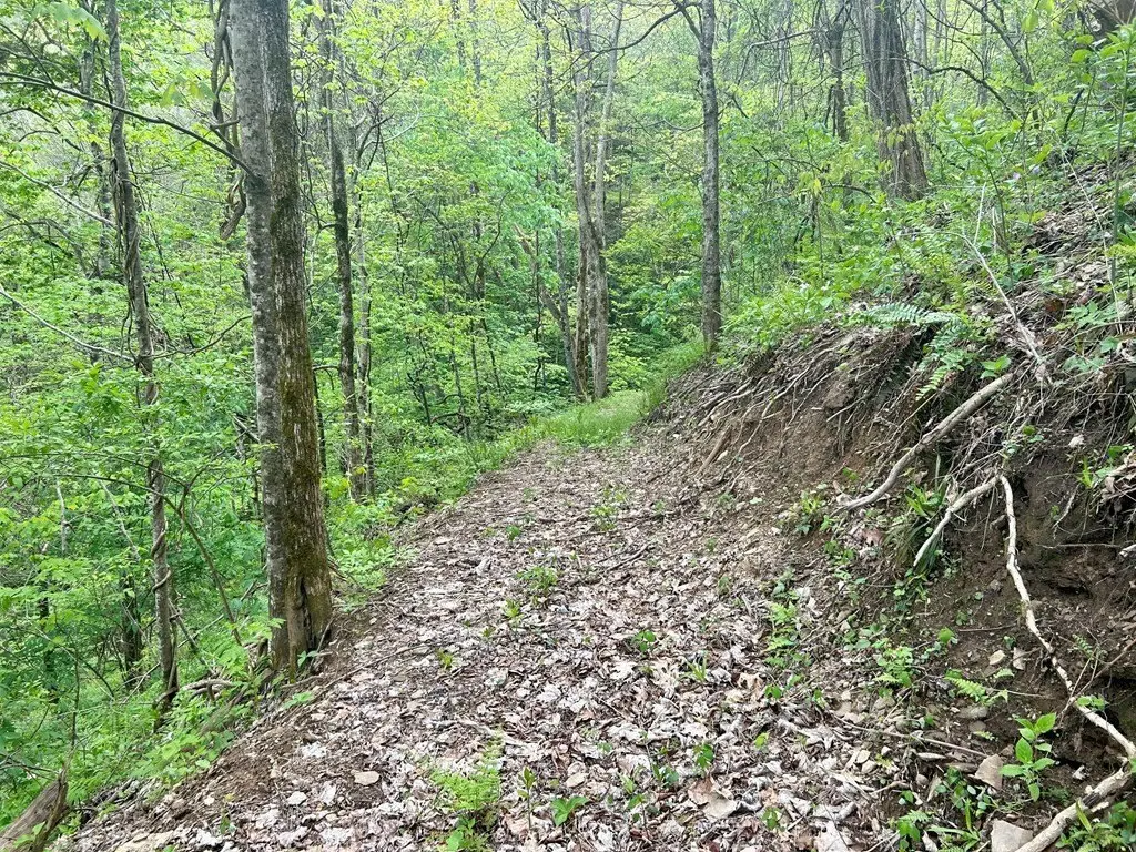 Picture 10