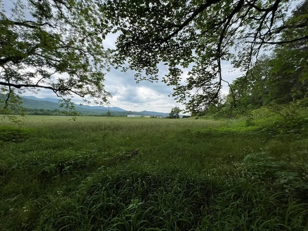 Picture 19
