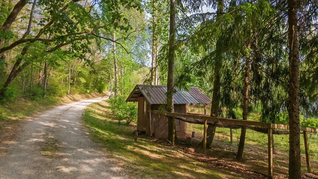 Picture 52