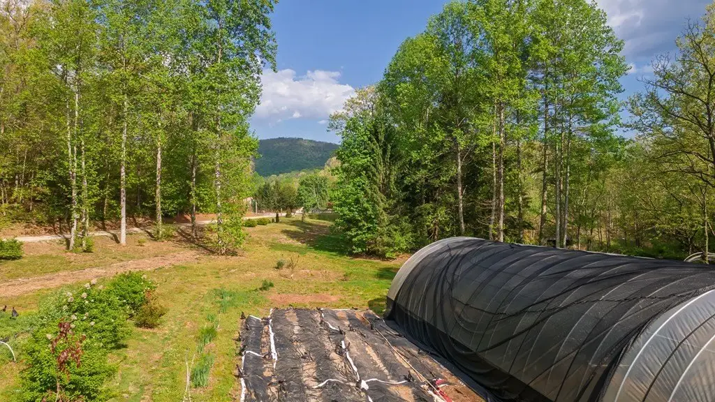 Picture 38