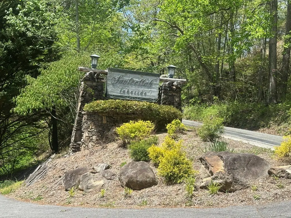 Picture 2