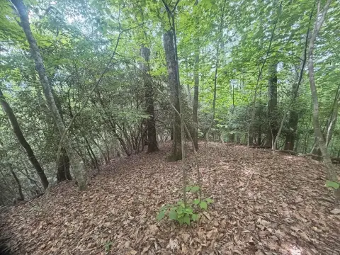 Unrestricted Wooded Land in Franklin, NC