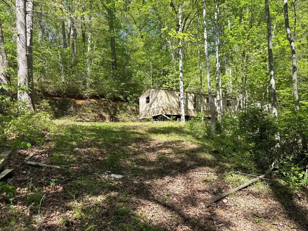Picture 3