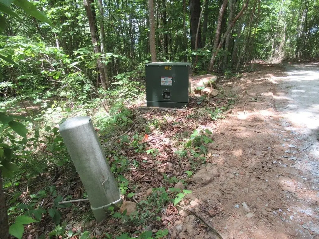 Picture 41