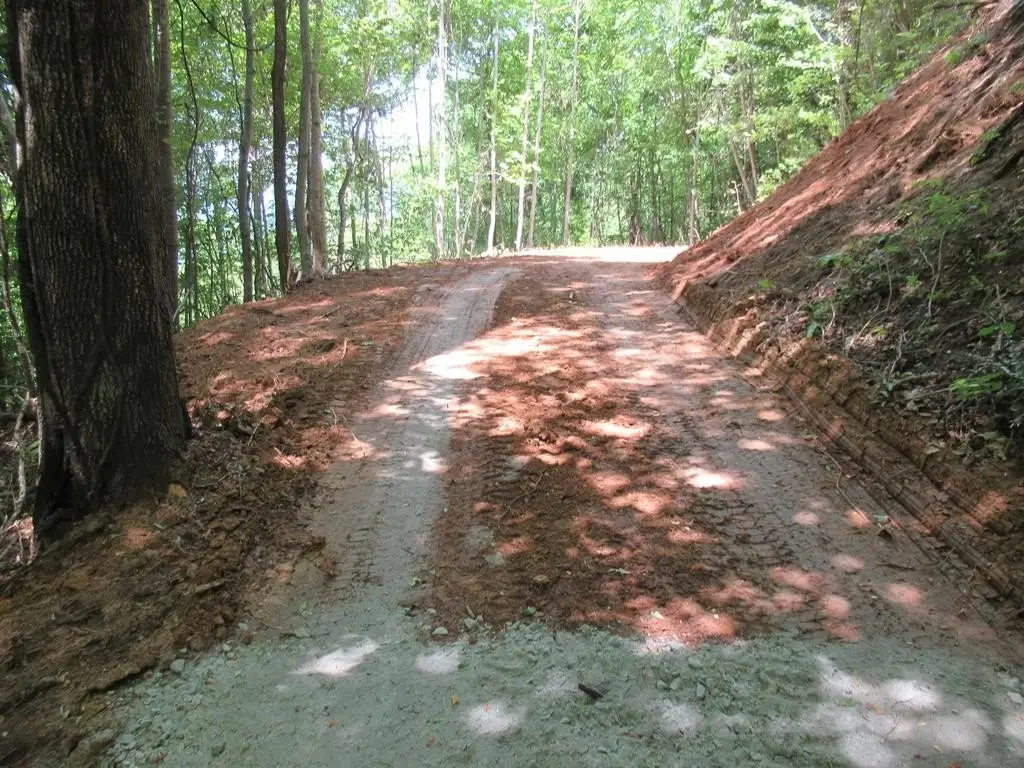 Picture 17
