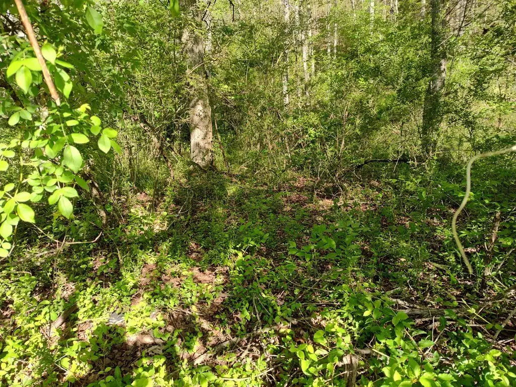 Picture 18