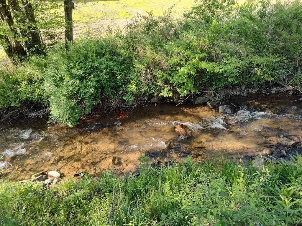 Picture 4