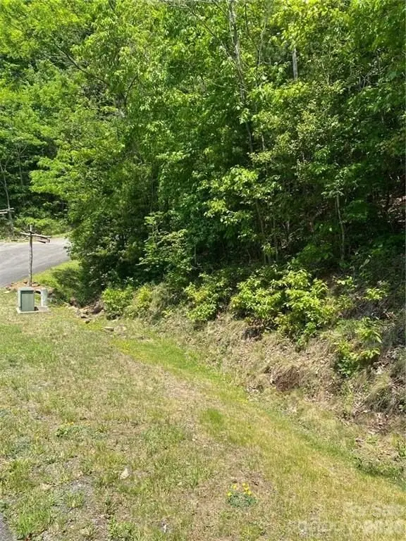 Picture 2