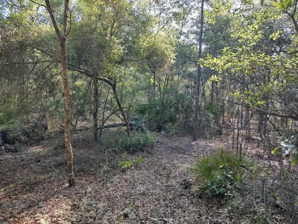 Picture 4