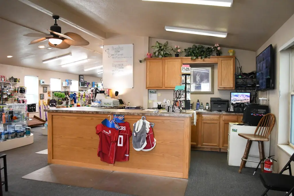 Picture 9