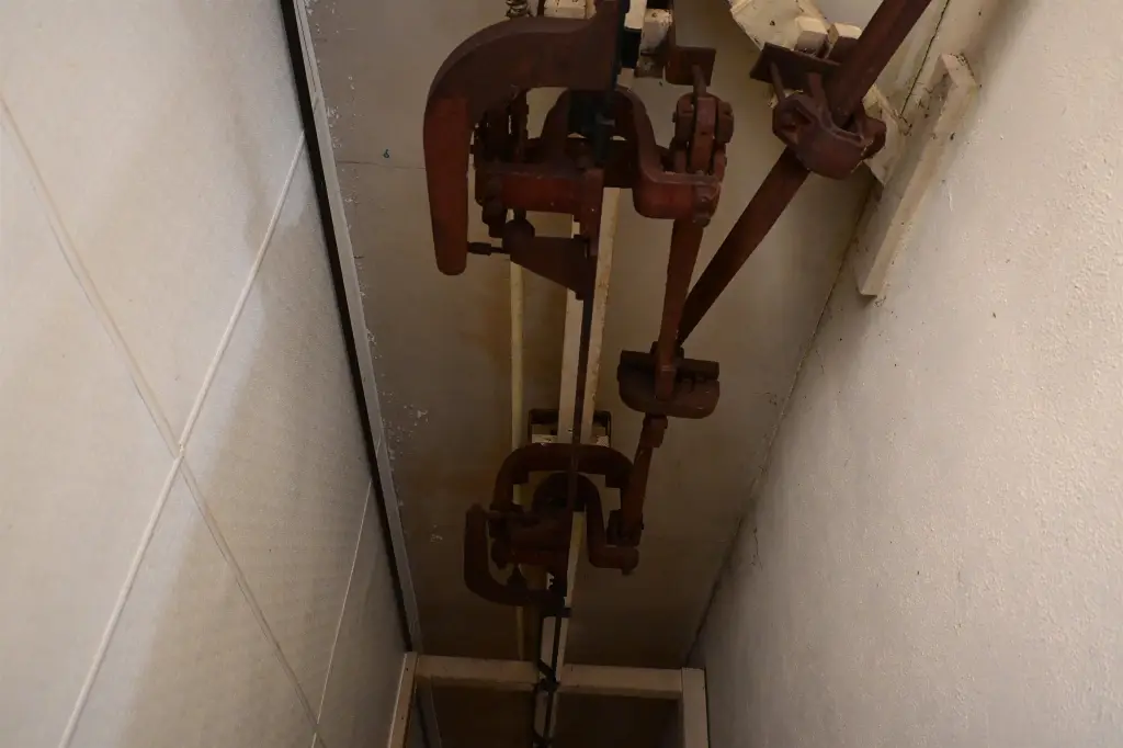 Picture 22
