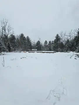 Ready-to-Build Lot in Prudenville