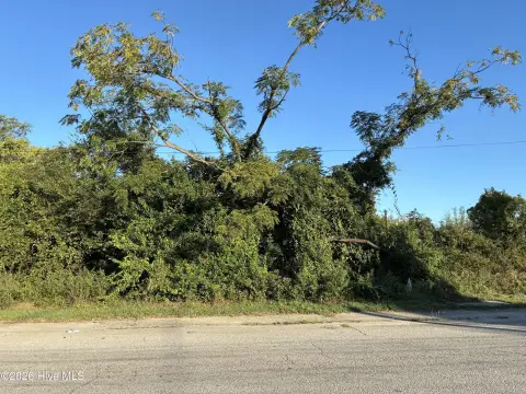 Commercial Land