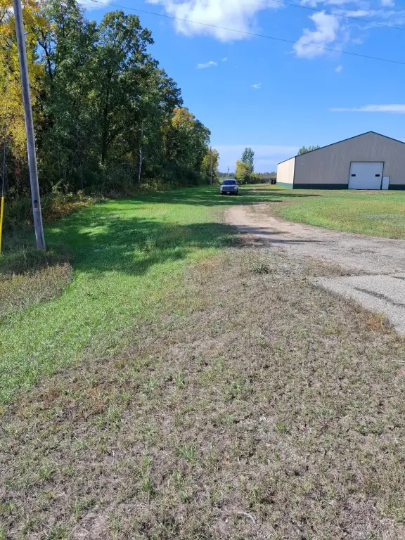 Picture 5