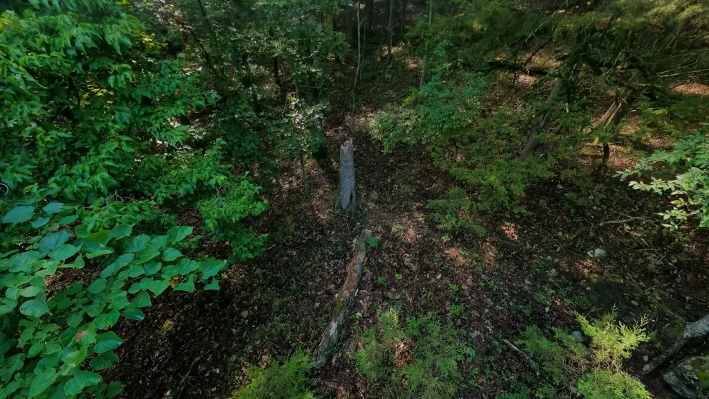 Picture 4