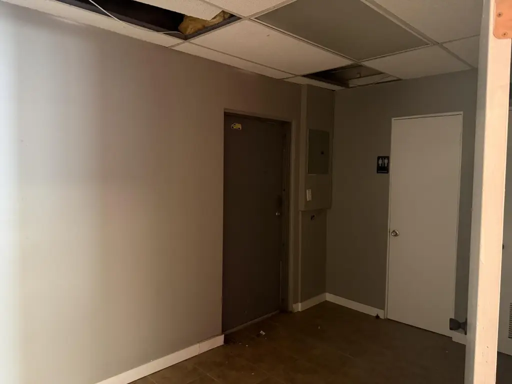 Picture 6