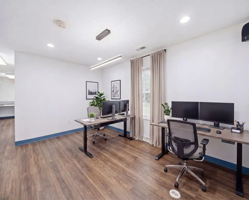 Picture 16