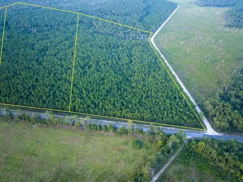 Timbered Rural Land Tract