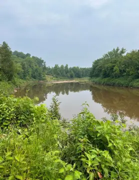 Remote Forestland on Ontonagon River