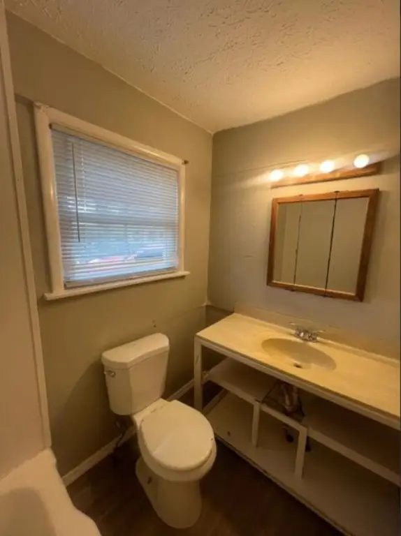 Picture 8