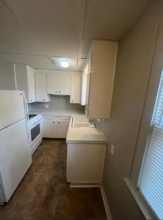 Picture 14