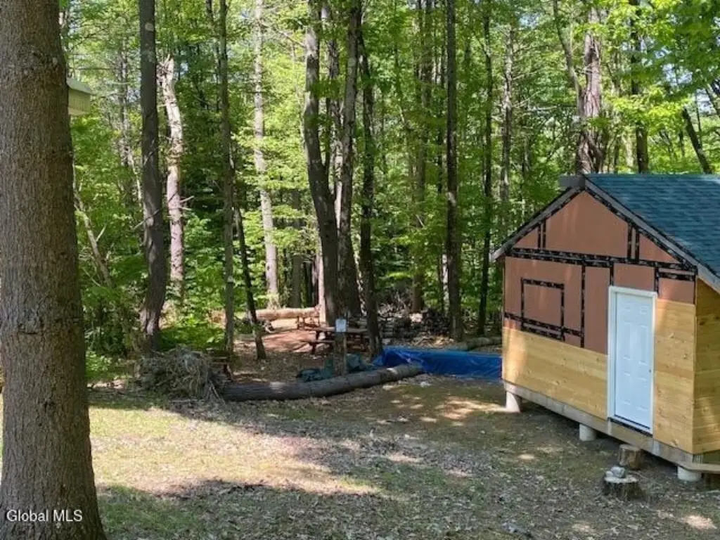 Picture 3