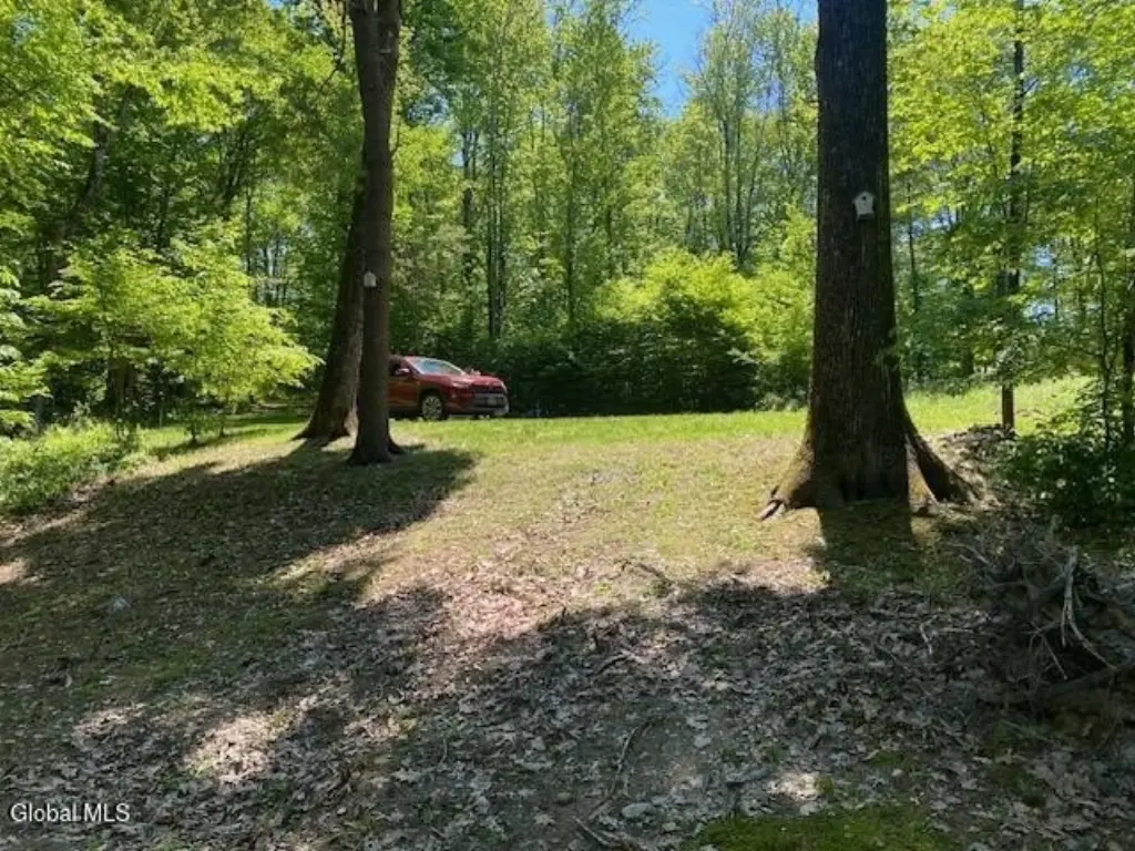 Picture 11