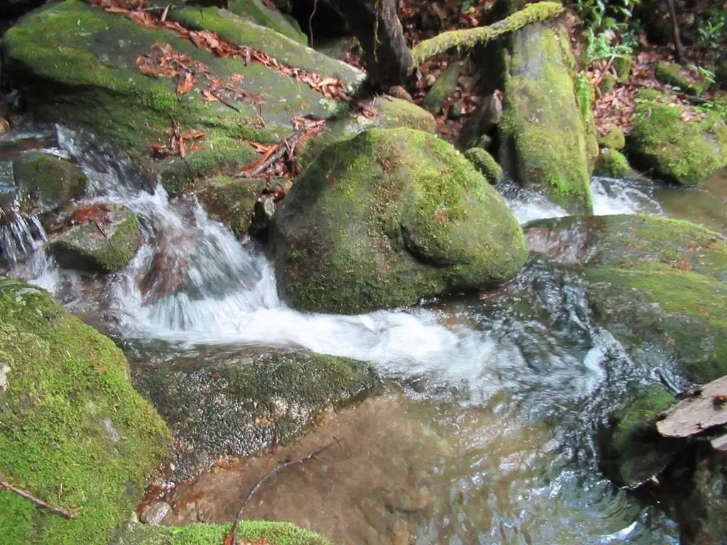 Picture 9