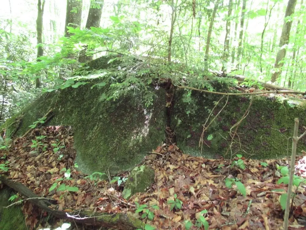 Picture 25