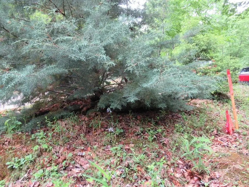 Picture 43