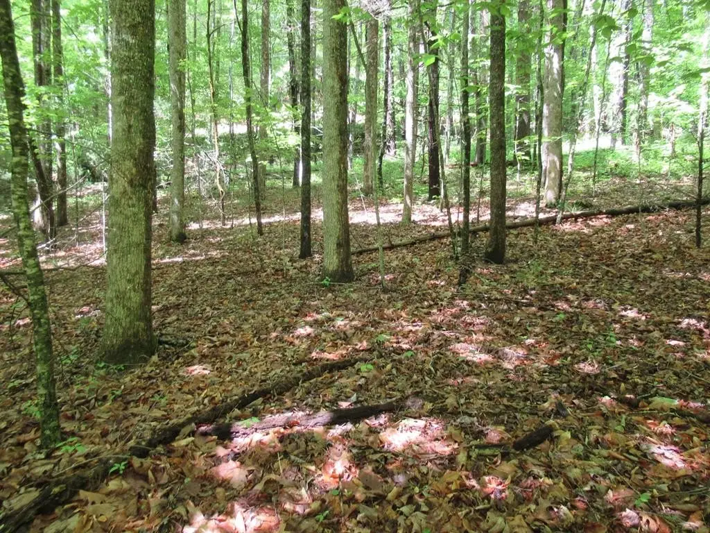 Picture 30