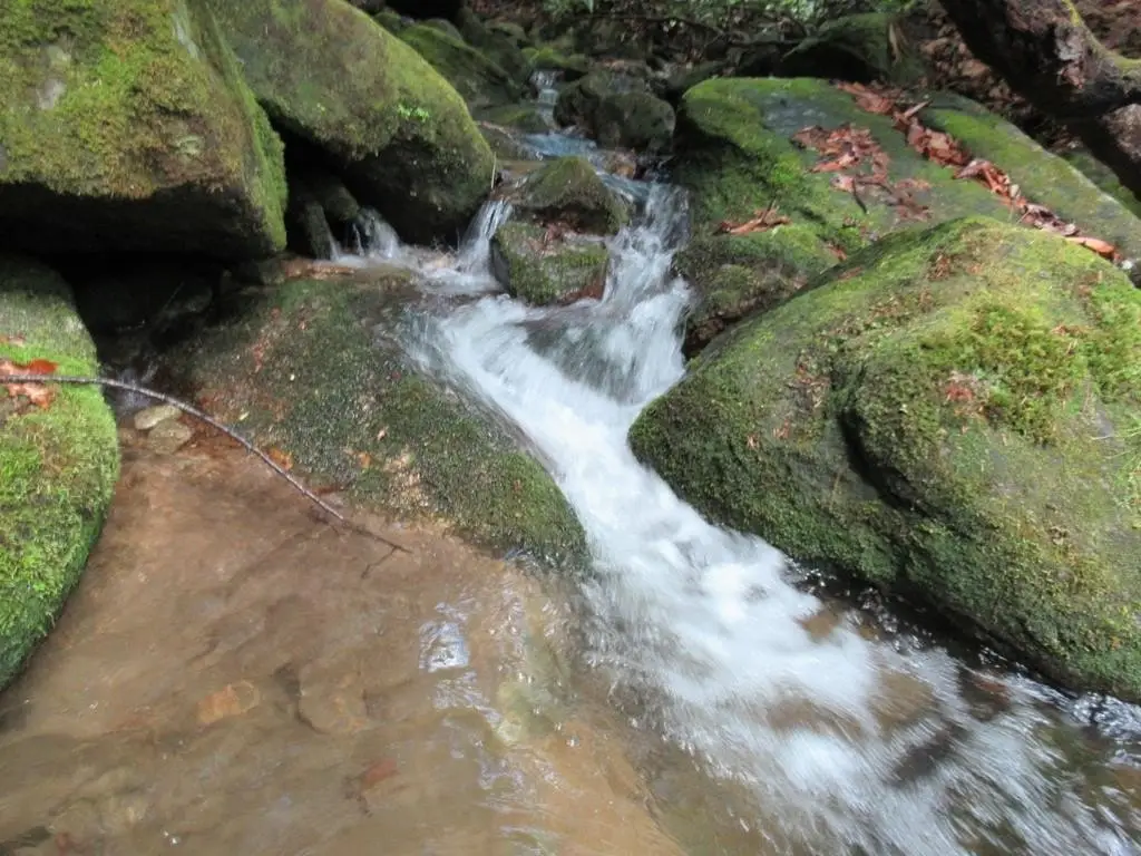 Picture 4