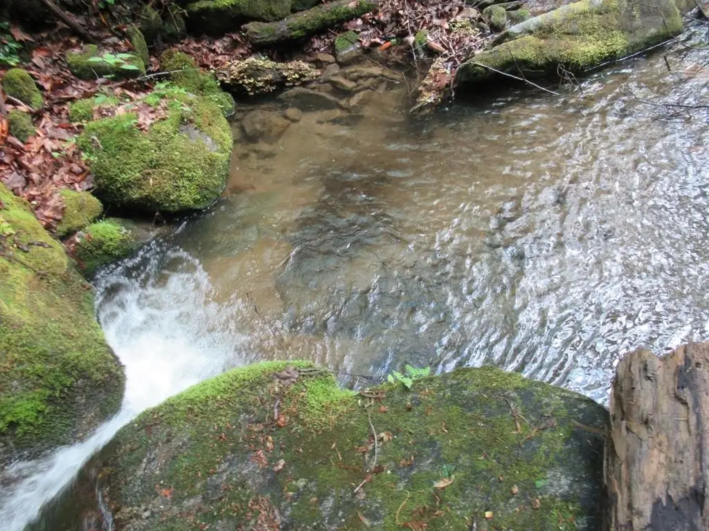 Picture 2