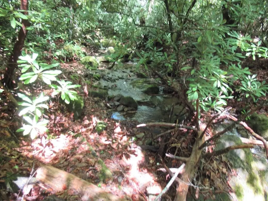 Picture 41