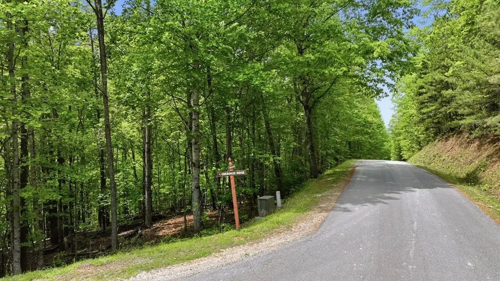 Picture 29