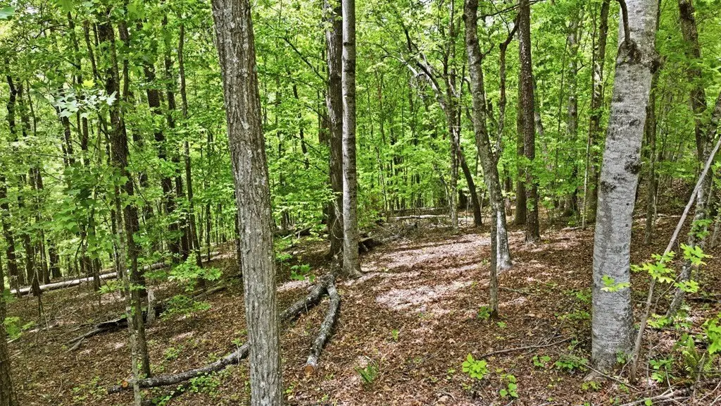 Picture 7
