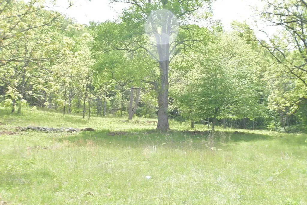 Picture 16