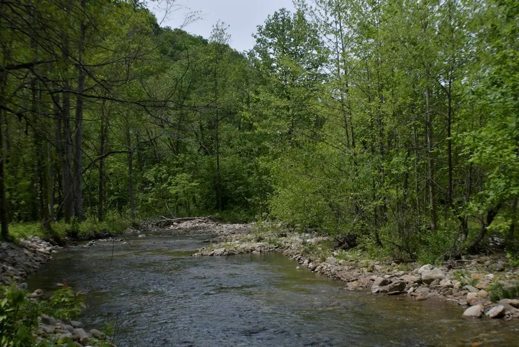 Picture 19