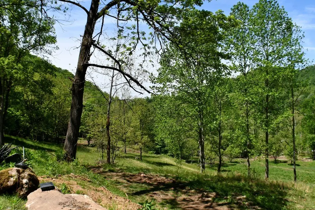 Picture 11