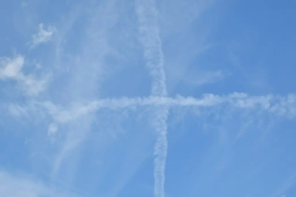 Picture 28