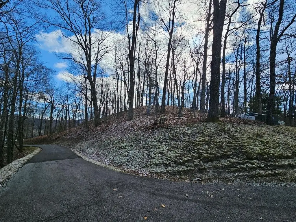 Picture 9