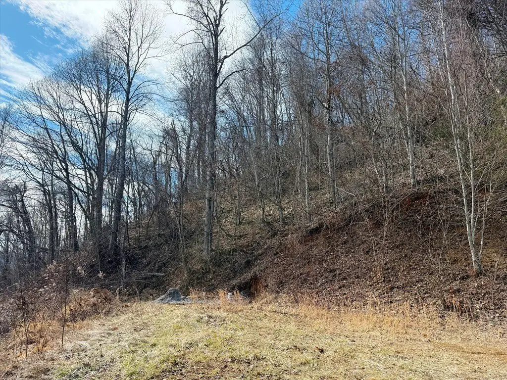 Picture 19