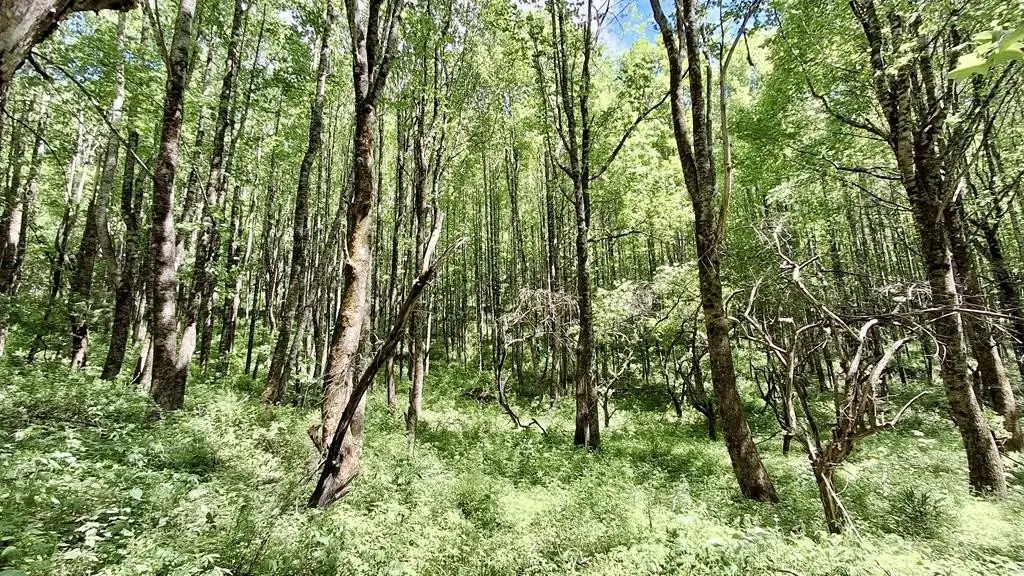 Picture 3