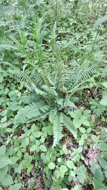 Picture 30