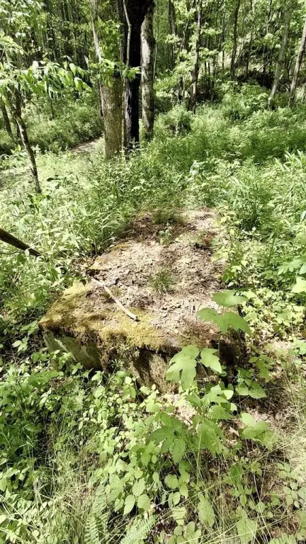 Picture 15