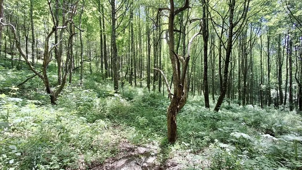 Picture 4