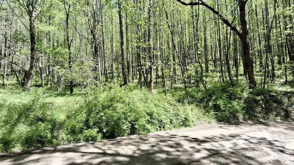 Picture 19