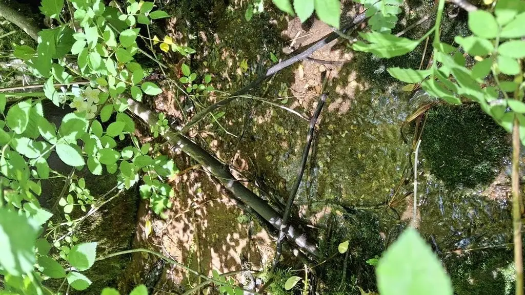 Picture 14