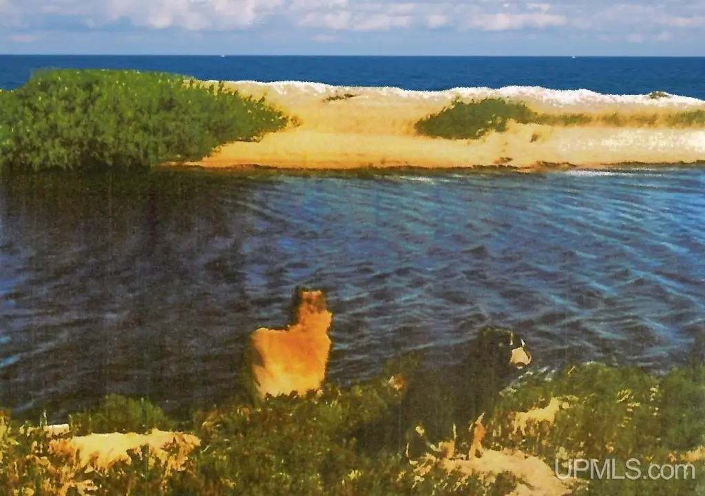 Picture 11
